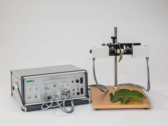 2018--2.jpg 2018--2.jpg