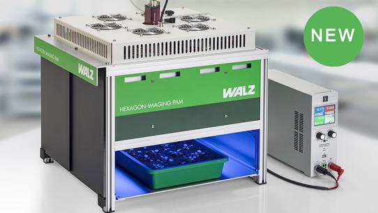 2022-1.jpg 2022-1.jpg