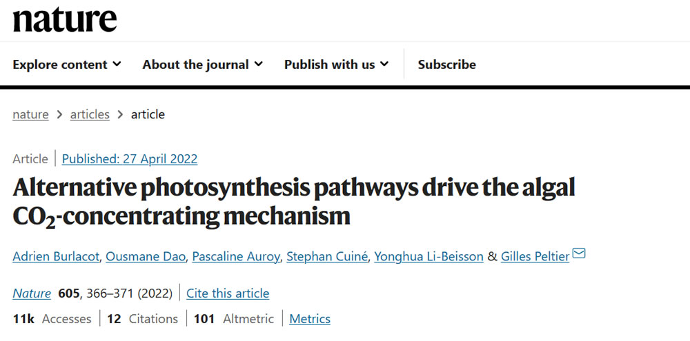 Nature.jpg Nature.jpg