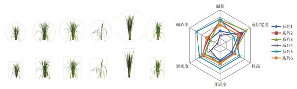 圖723031501.jpg 圖723031501.jpg