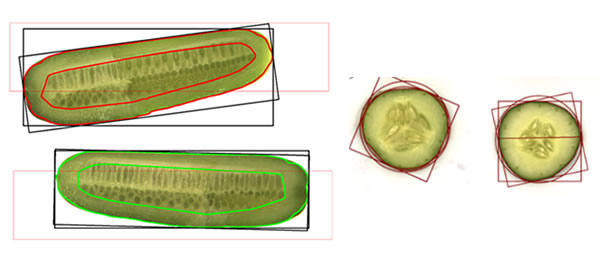 圖1023031501.jpg 圖1023031501.jpg