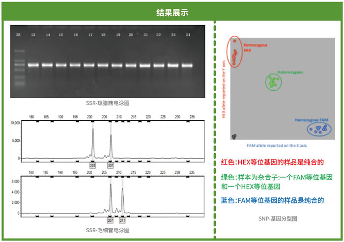 圖623032102.jpg 圖623032102.jpg
