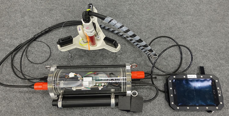 CISME18112204.jpg CISME18112204.jpg