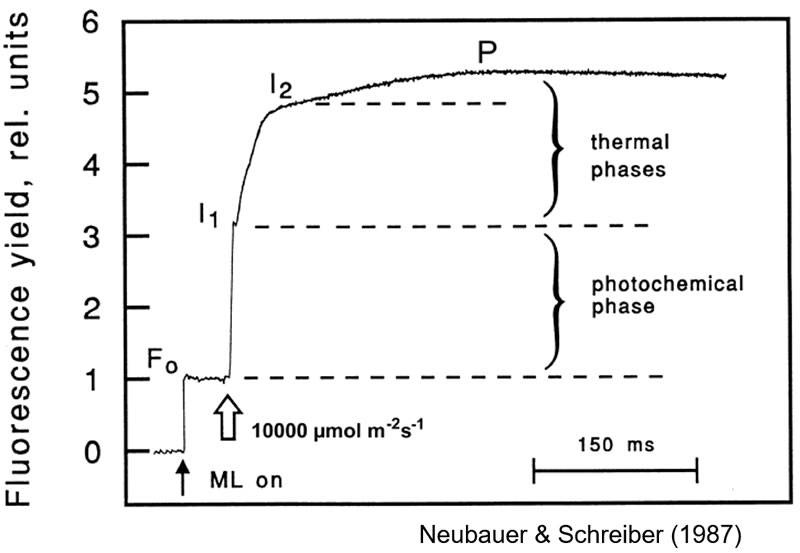 圖123032801.jpg 圖123032801.jpg