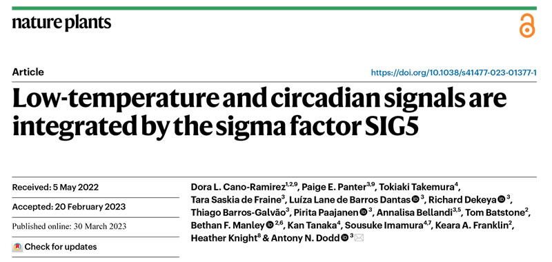 圖123040301s.jpg 圖123040301s.jpg