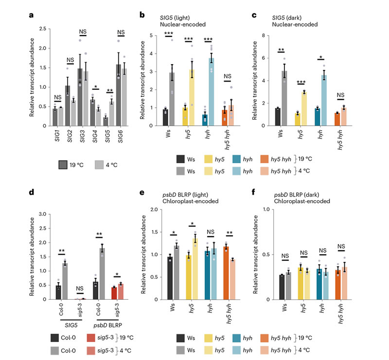 圖223040301s.jpg 圖223040301s.jpg