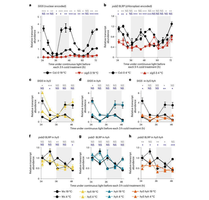 圖323040301s.jpg 圖323040301s.jpg