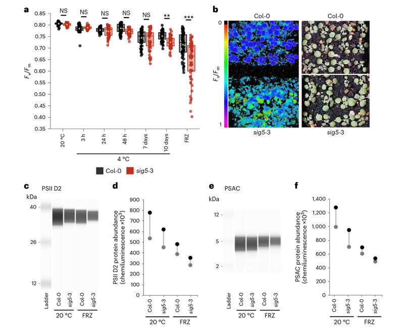 圖423040301s.jpg 圖423040301s.jpg
