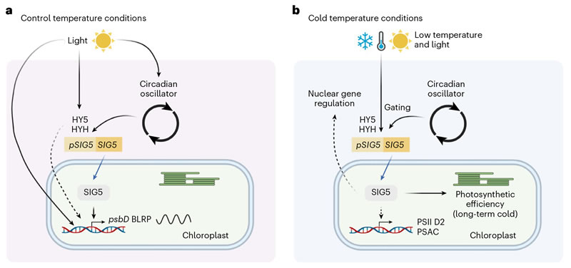 圖523040301s.jpg 圖523040301s.jpg