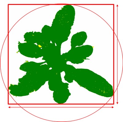 biomass detection.jpg biomass detection.jpg