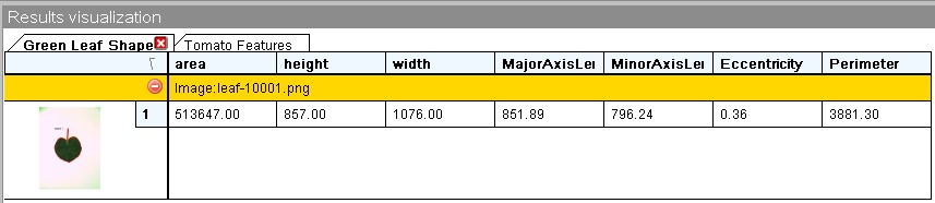 leaf-2.jpg leaf-2.jpg