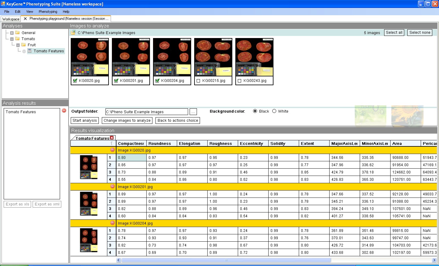 tomato-2.jpg tomato-2.jpg