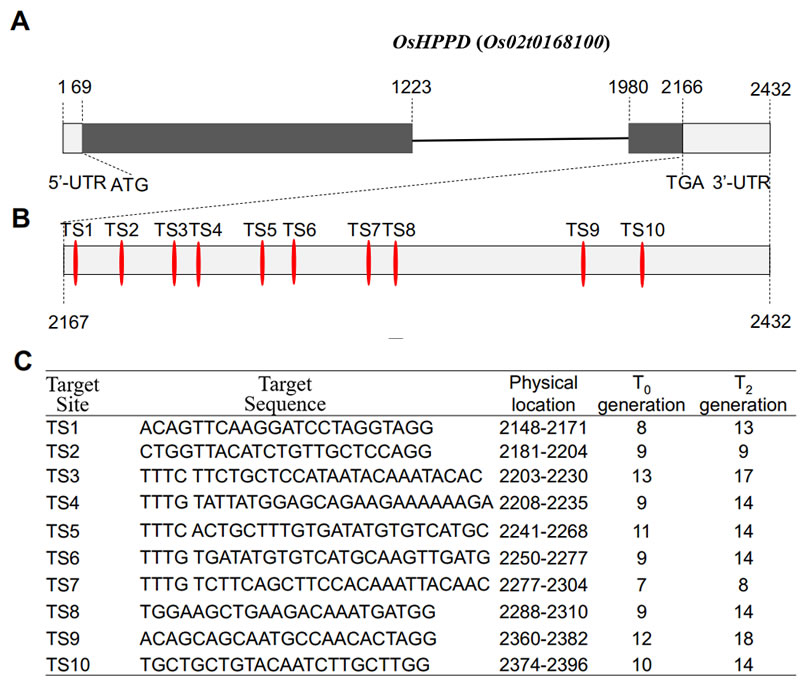 圖123050402.jpg 圖123050402.jpg