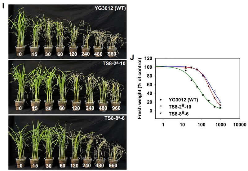 圖423050402.jpg 圖423050402.jpg