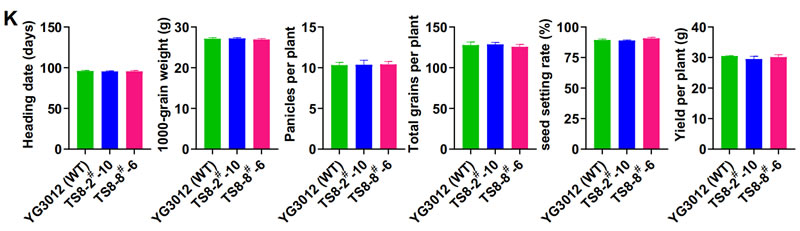 圖523050402.jpg 圖523050402.jpg