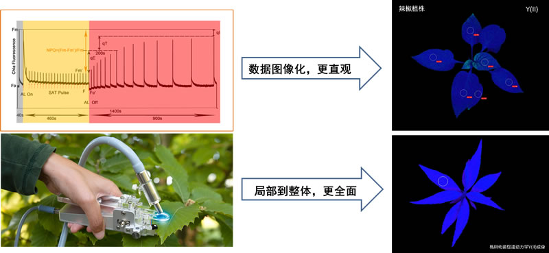 圖623051001.jpg 圖623051001.jpg