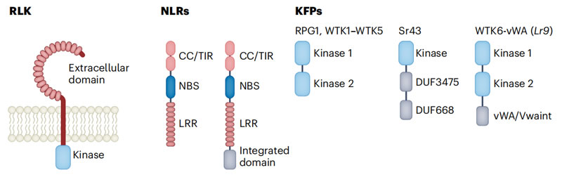 圖123060201.jpg 圖123060201.jpg