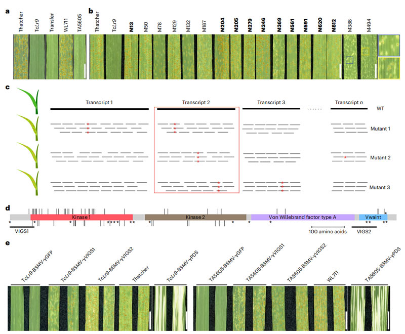 圖223060201.jpg 圖223060201.jpg