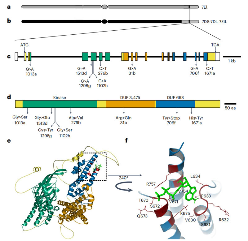 圖323060201.jpg 圖323060201.jpg