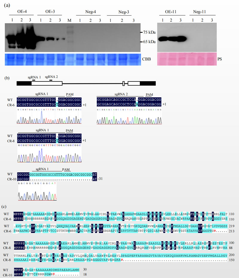 圖123060701.jpg 圖123060701.jpg