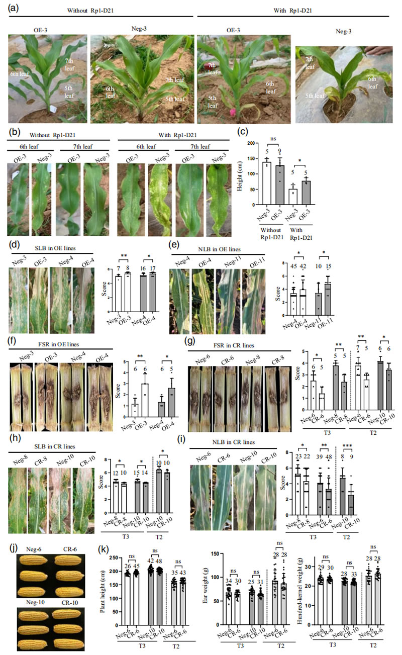 圖223060701.jpg 圖223060701.jpg