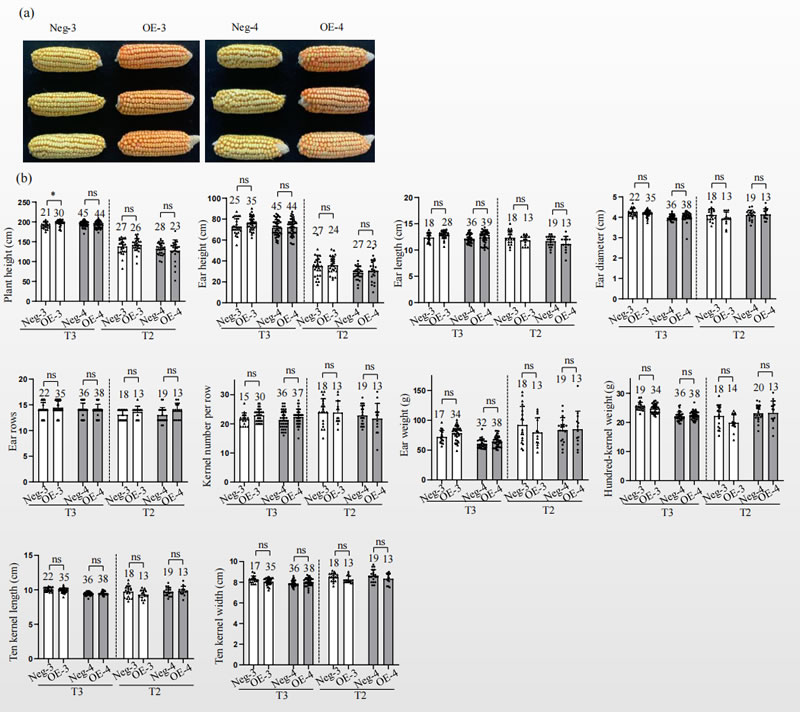 圖323060701.jpg 圖323060701.jpg