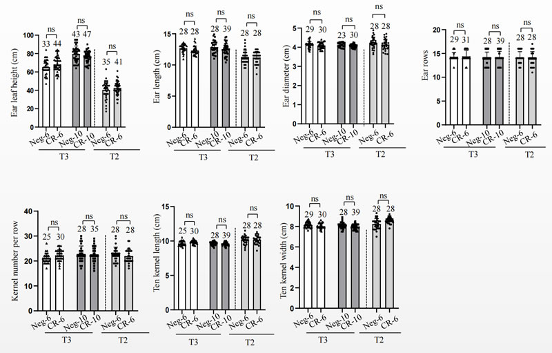 圖423060701.jpg 圖423060701.jpg