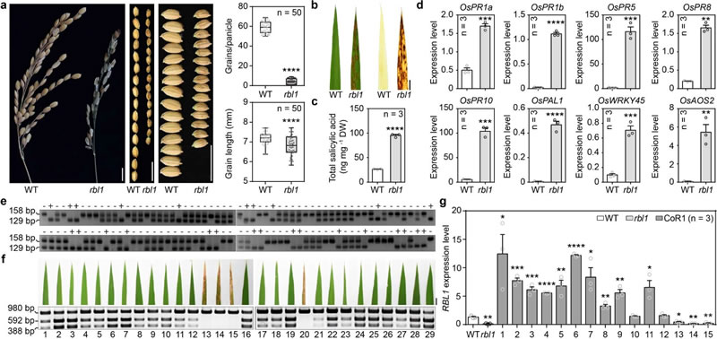 圖123063002.jpg 圖123063002.jpg