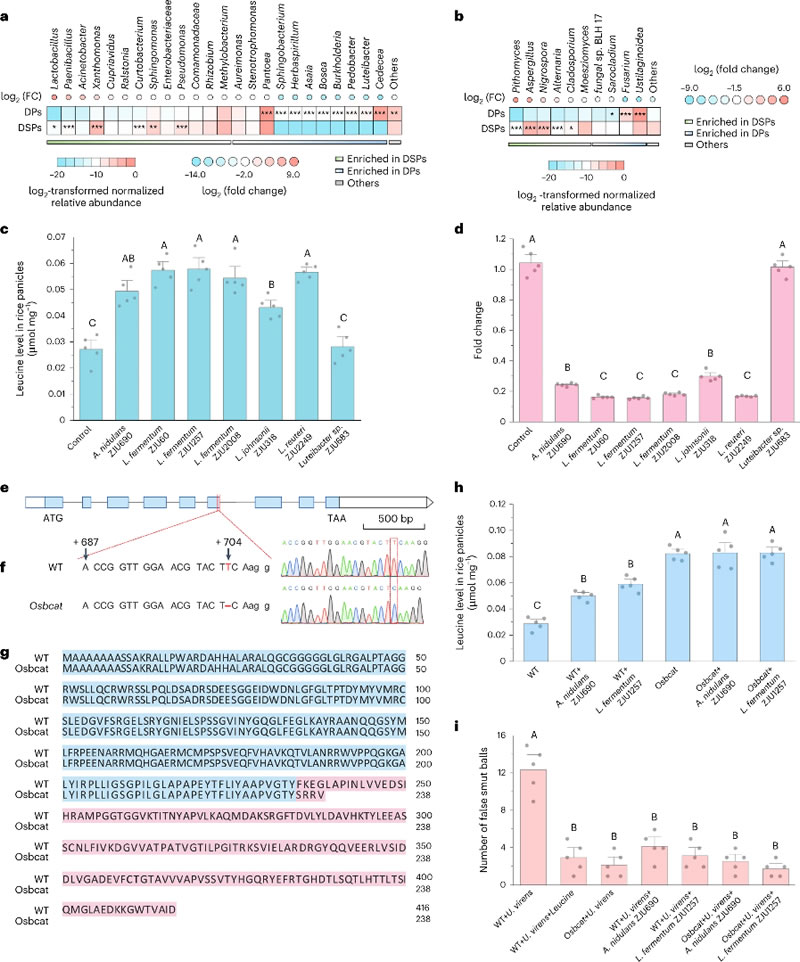 圖423072402.jpg 圖423072402.jpg