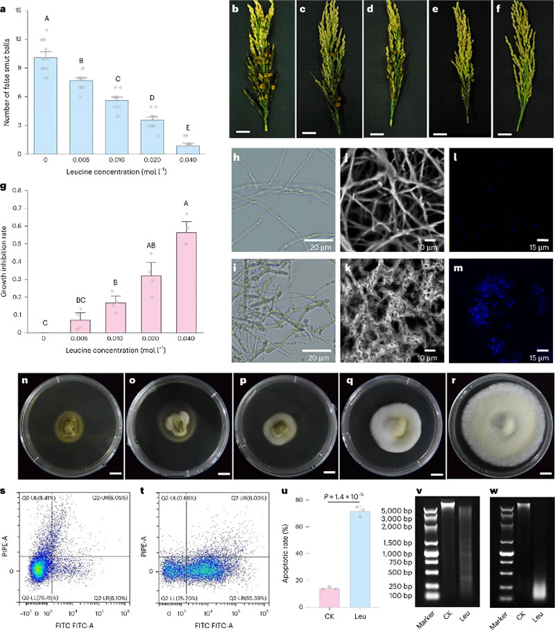 圖523072402.jpg 圖523072402.jpg