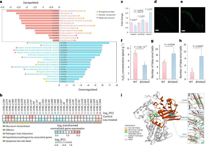 圖623072402.jpg 圖623072402.jpg