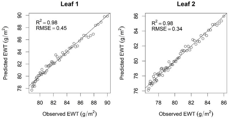 圖423013001.jpg 圖423013001.jpg