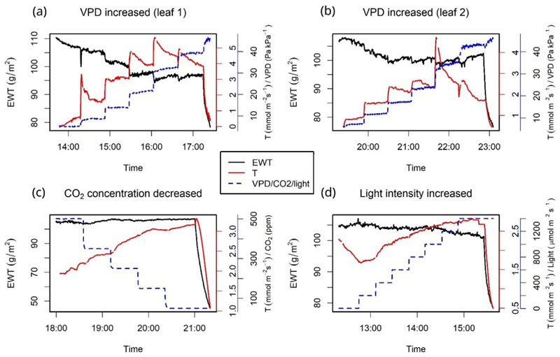 圖523013001.jpg 圖523013001.jpg