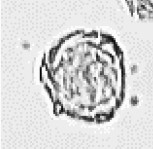 表1-3.png 表1-3.png