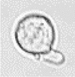 表1-4.png 表1-4.png