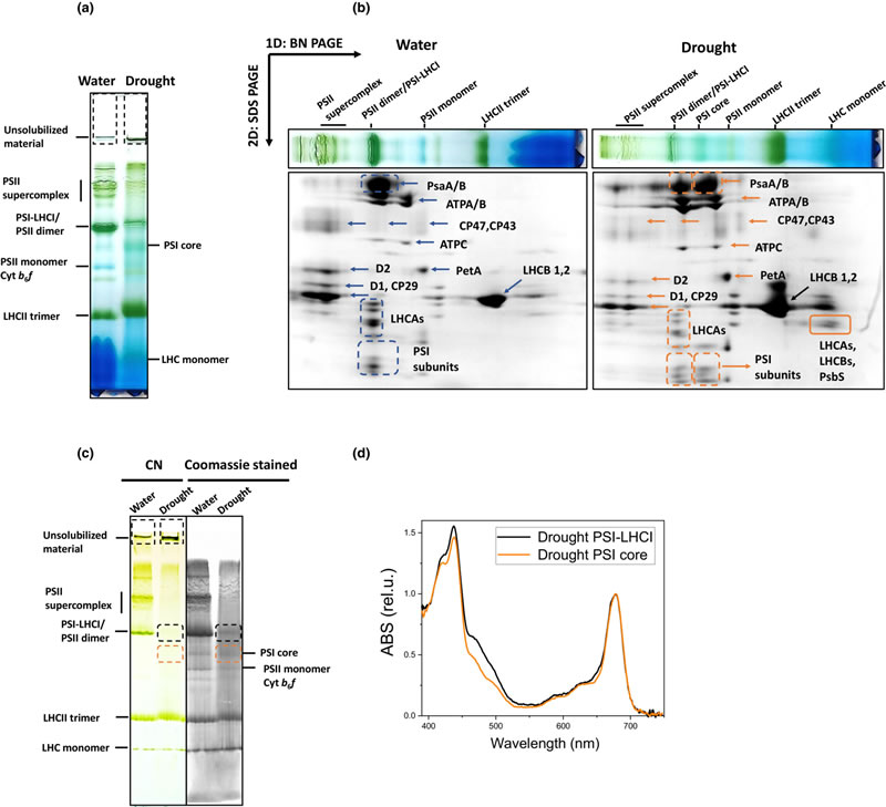 圖223080701.jpg 圖223080701.jpg