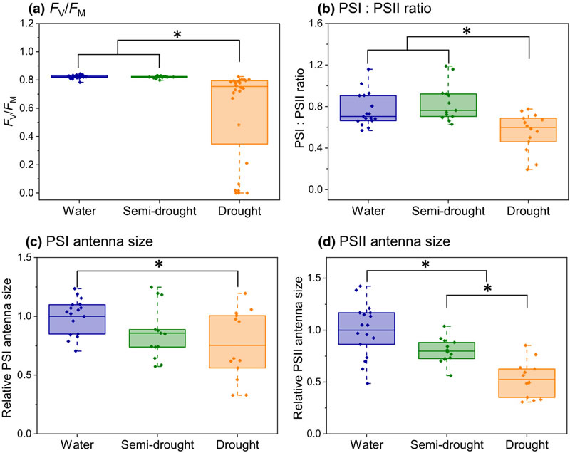 圖323080701.jpg 圖323080701.jpg