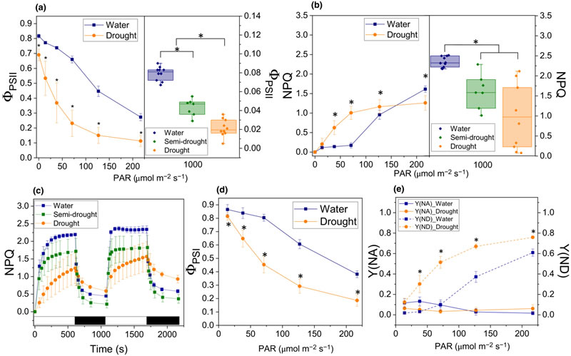 圖423080701.jpg 圖423080701.jpg