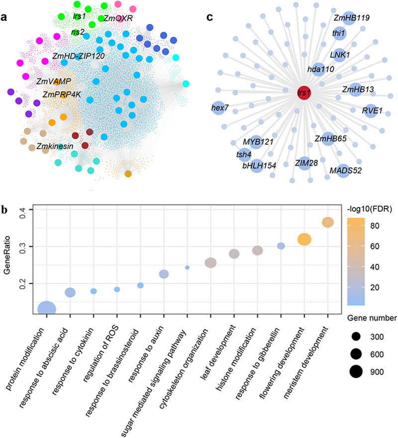 圖423090501.jpg 圖423090501.jpg