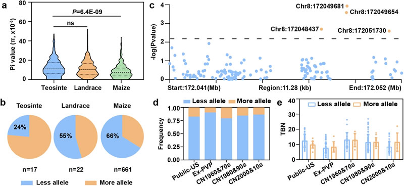 圖523090501.jpg 圖523090501.jpg