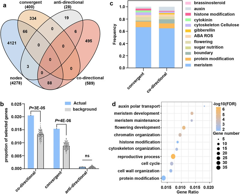 圖623090501.jpg 圖623090501.jpg