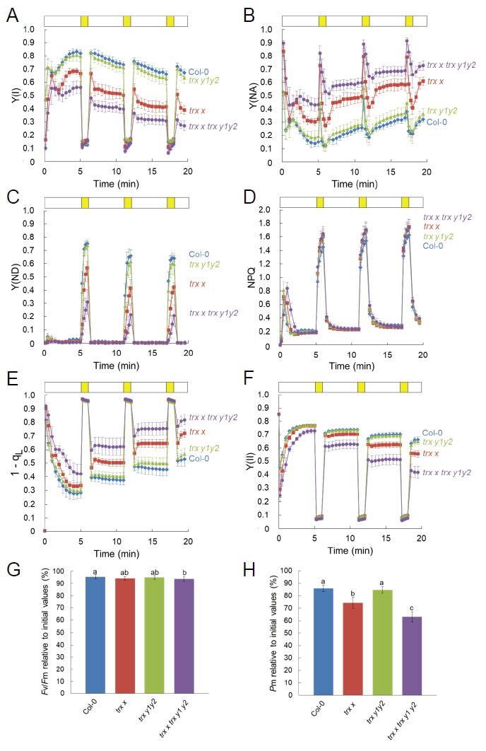 圖323082501.jpg 圖323082501.jpg