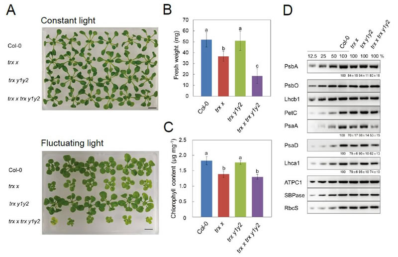 圖423082501.jpg 圖423082501.jpg