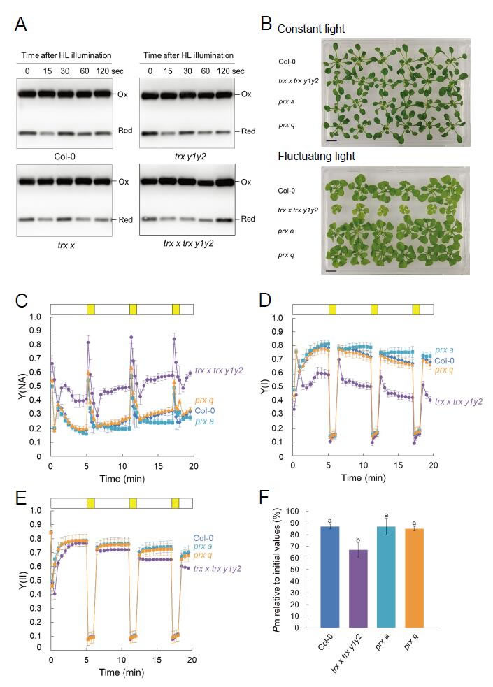 圖523082501.jpg 圖523082501.jpg