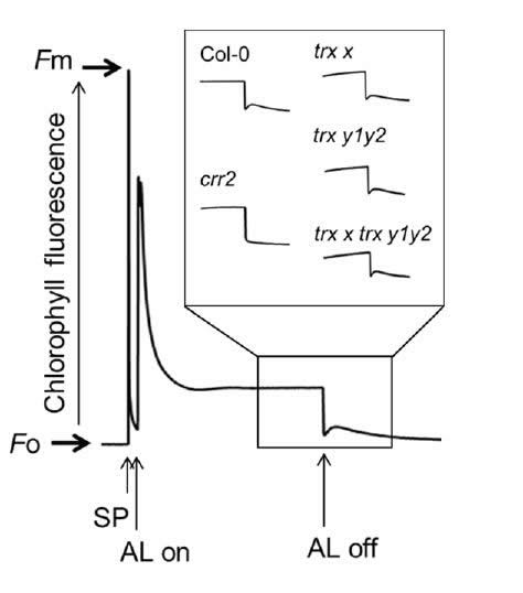 圖623082501.jpg 圖623082501.jpg