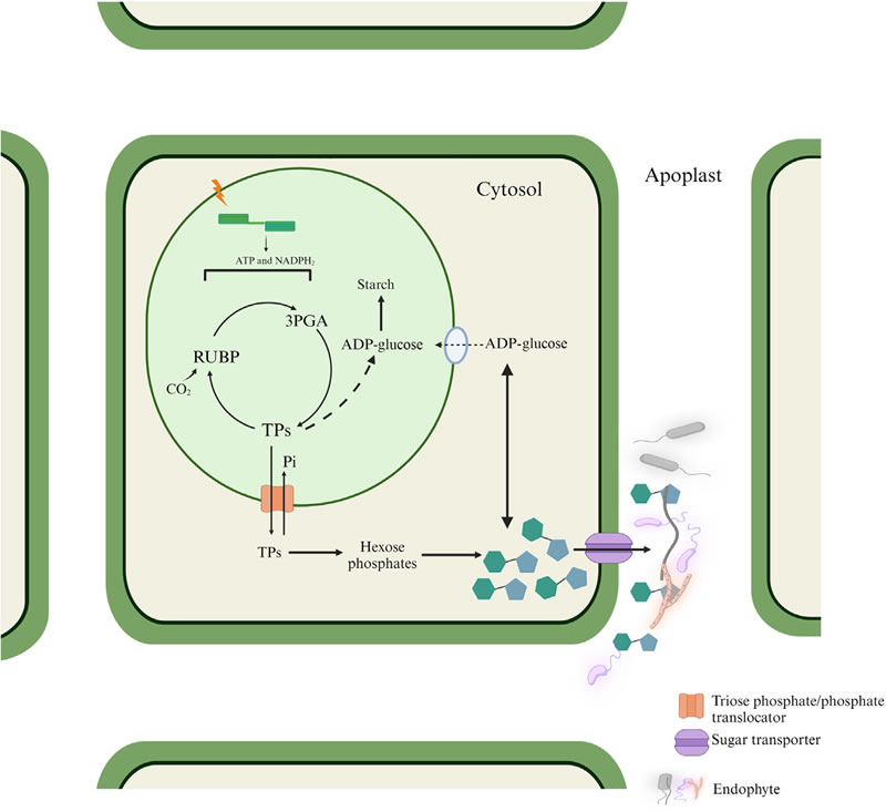 圖223122901.jpg 圖223122901.jpg