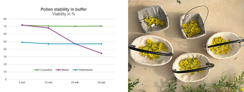 圖324031203s.jpg 圖324031203s.jpg