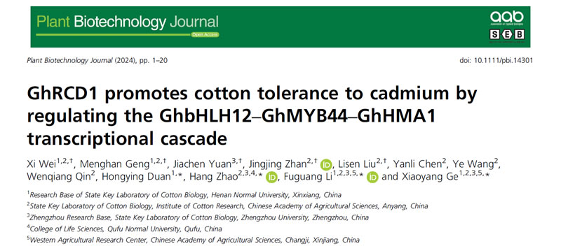 圖224030101.jpg 圖224030101.jpg