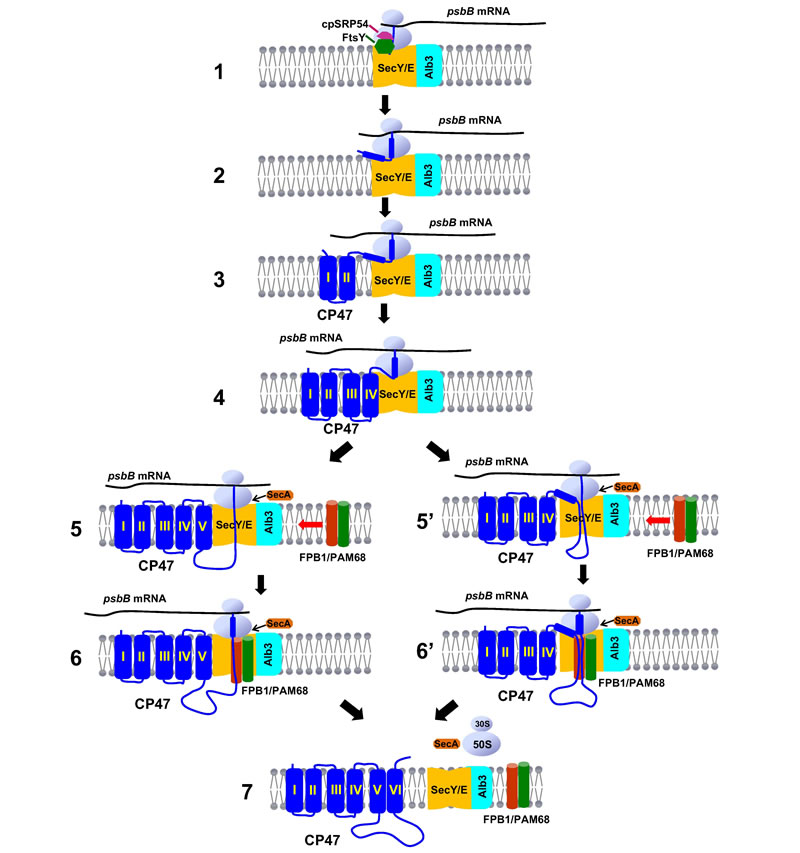 圖424042202.jpg 圖424042202.jpg