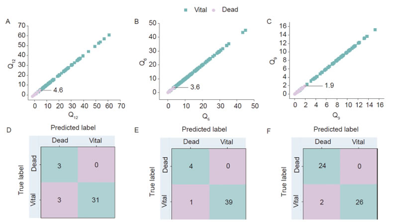 圖524042203.jpg 圖524042203.jpg